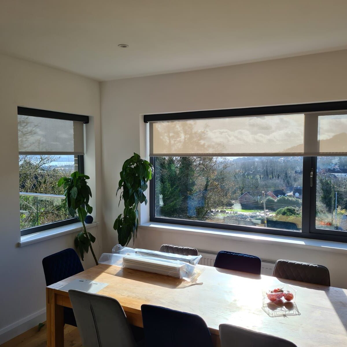 504216569_1268885391910039_2004313257673265662_n