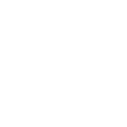 star (14)
